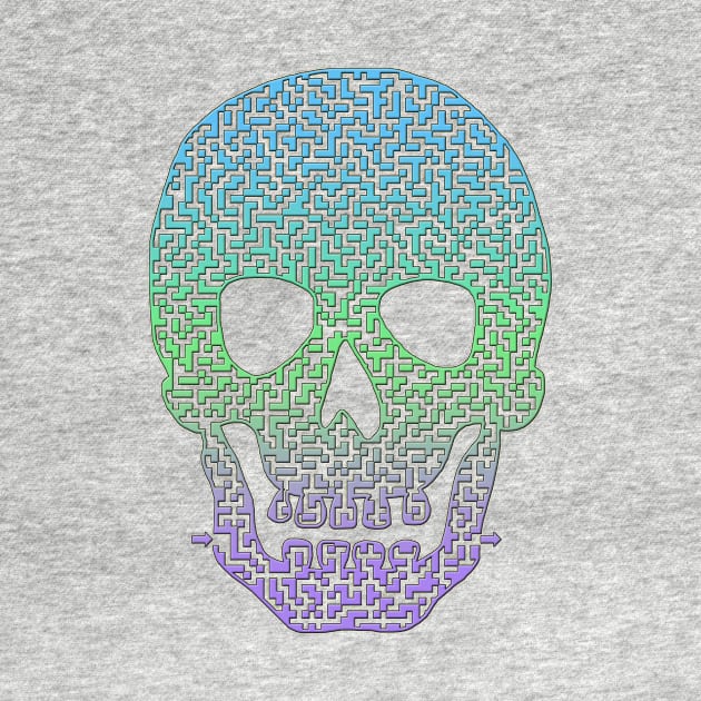 Colorful Skull Shaped Maze by gorff